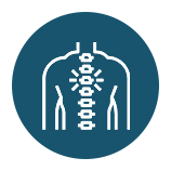 A spine and upper body icon highlights chiropractic care focused on spinal alignment, mobility, and pain relief.